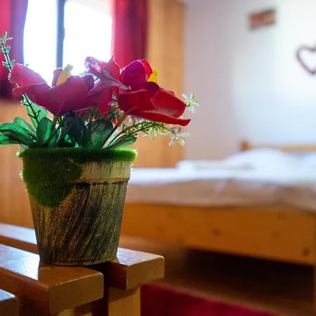 Casa Karol 旧瓦马